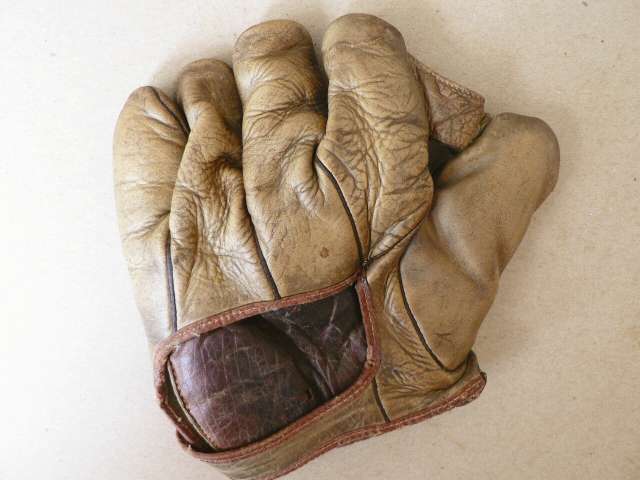 S and D Brand 1 Inch Web Back